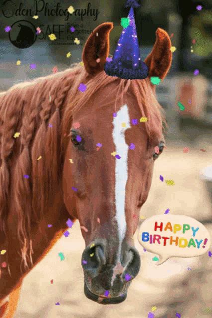 funny happy birthday horse gif|cute horse gif.